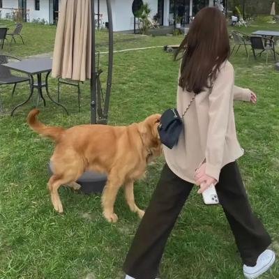 唐加美路主教
